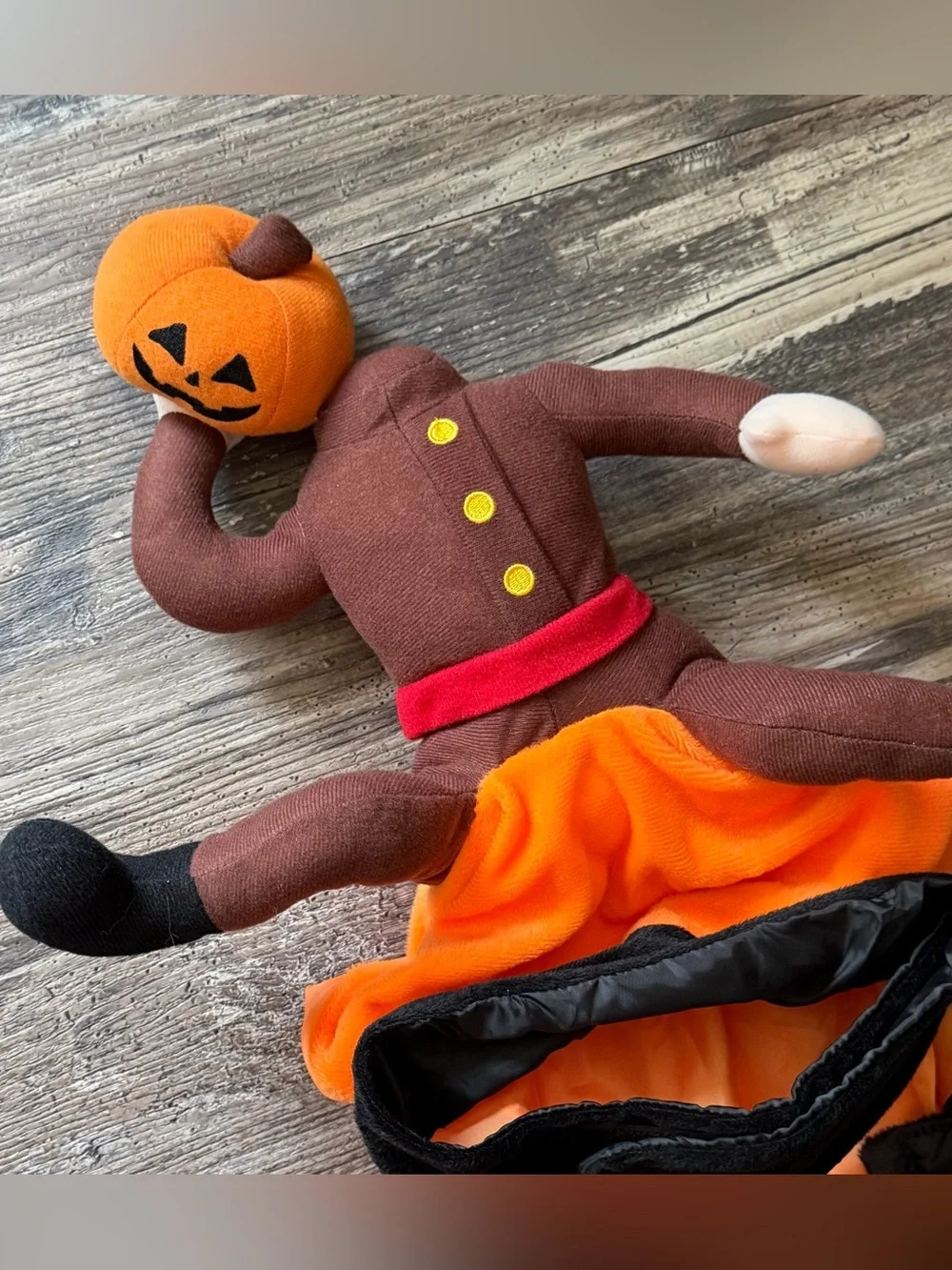 Pumpkin headless horseman orange brown Halloween dog costume size L/XL